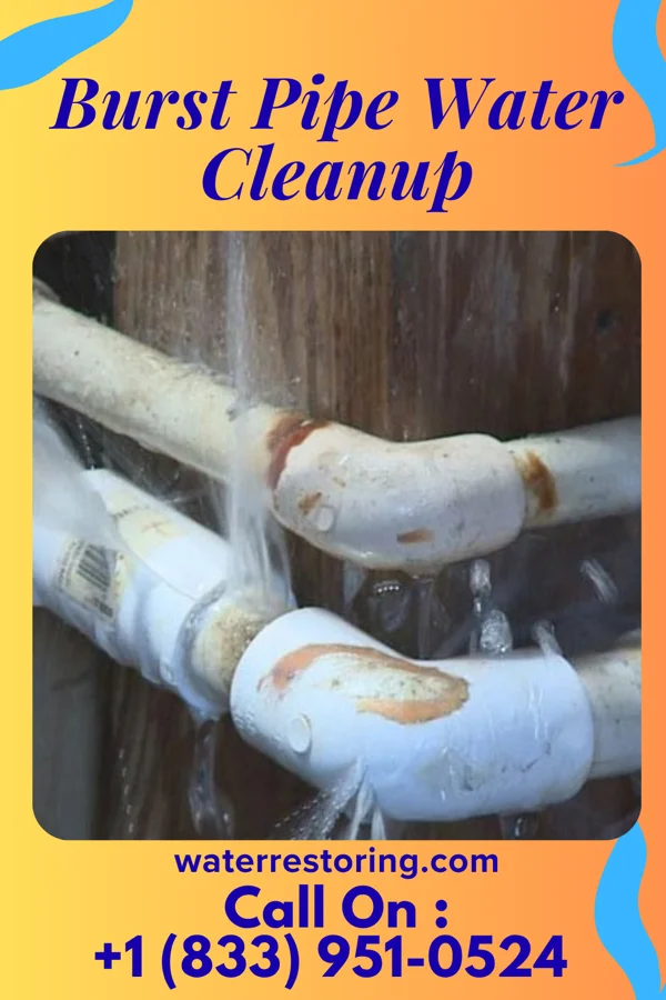 Burst Pipe Water Cleanup in Fall River, MA