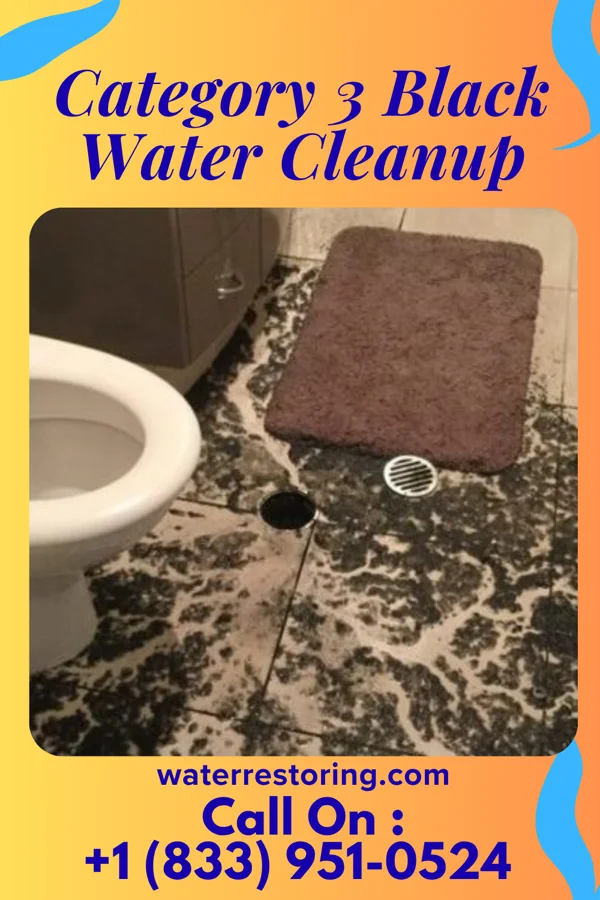 Category 3 Black Water Cleanup in Fall River, MA