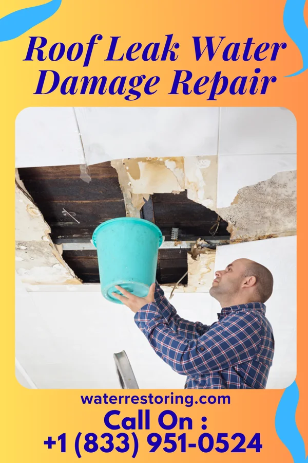 Roof Leak Water Damage Repair in Fall River, MA