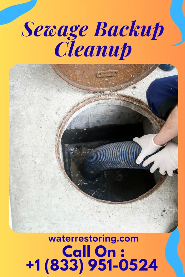 Sewage Backup Cleanup in Fall River, MA