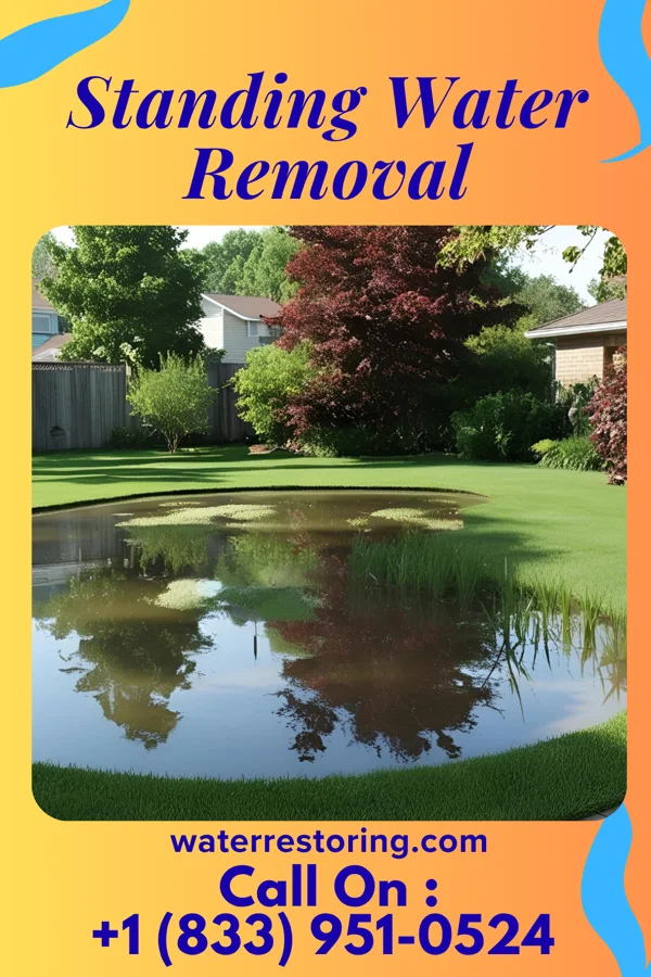 Standing Water Removal in Fall River, MA